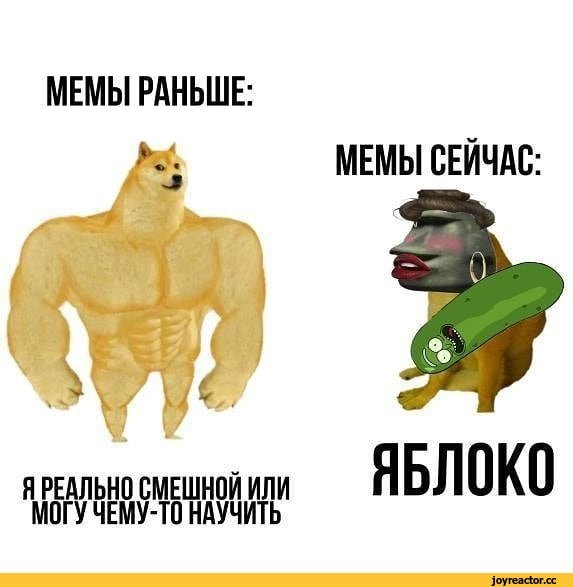 Популярные мемы
