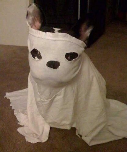 Смешные призраки