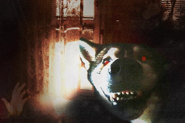 Собака призрак