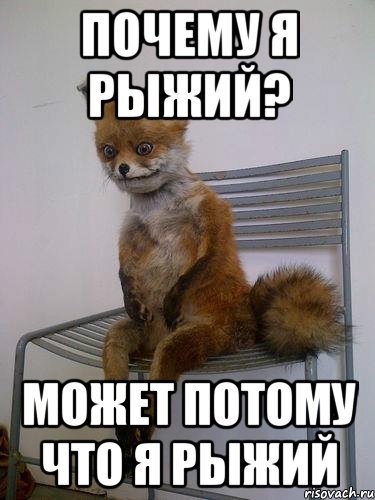 Шутки про рыжего мальчика