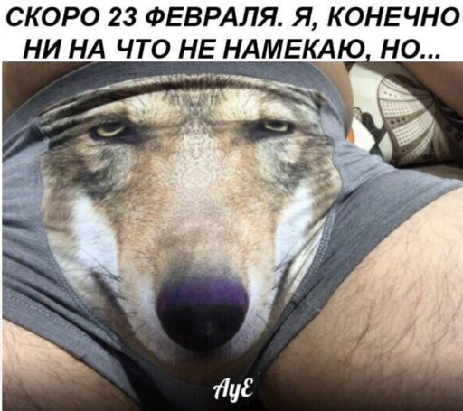 Трусы с волком ожидание
