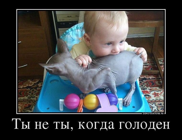 Демотиваторы дети смешные