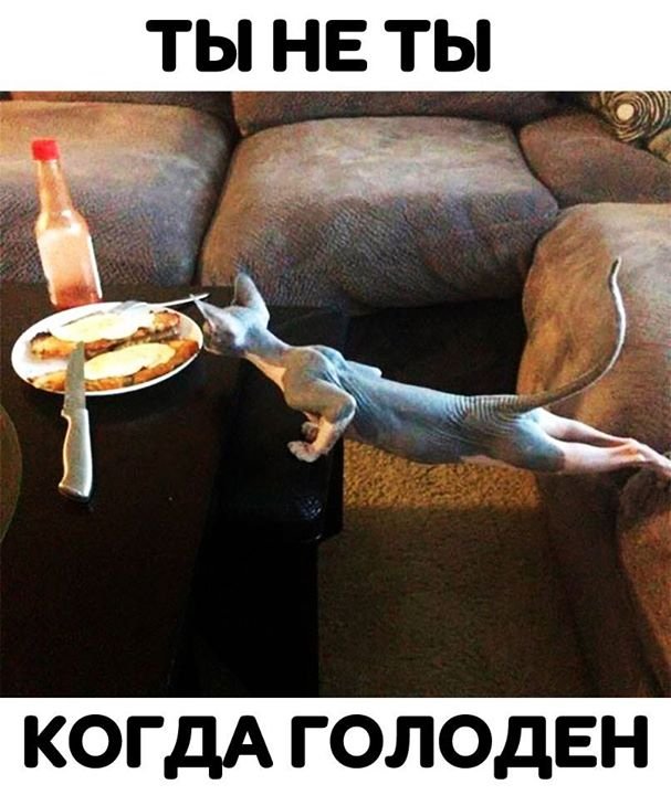 Голодный юмор