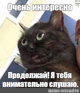 Мемы было очень интересно