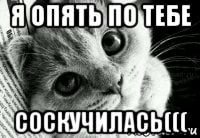 Я соскучилась картинки