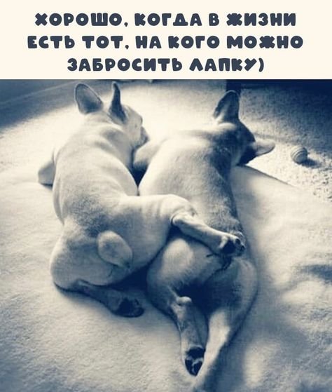 Главное в этой жизни чтобы было на кого ногу закинуть