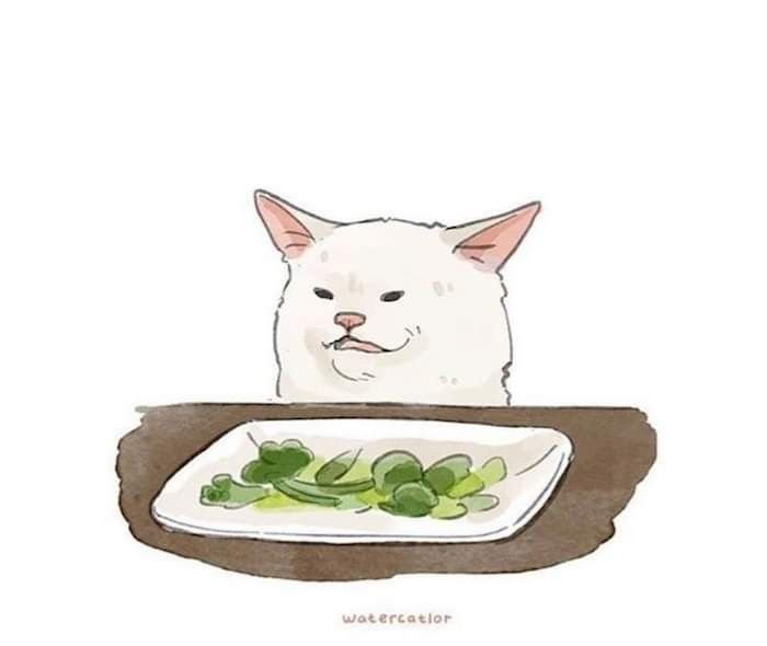 Мемный кот с салатом