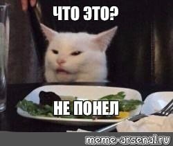 Недовольный кот за столом