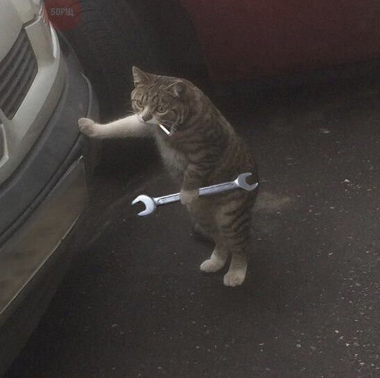 Кот с гаечным ключом у машины