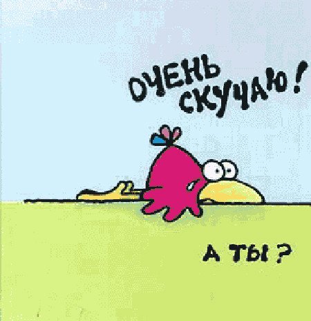 Прикольные открытки я скучаю