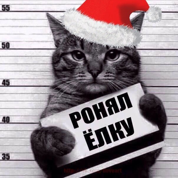 Кот роняет елку