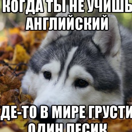 Где-то в мире грустит один