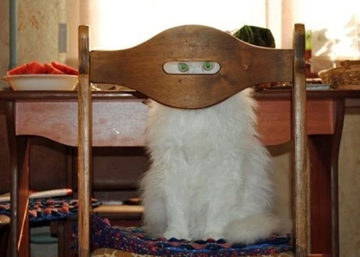 Я спрятался