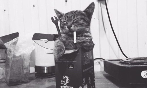 Кот с сигаретой и гаечным ключом