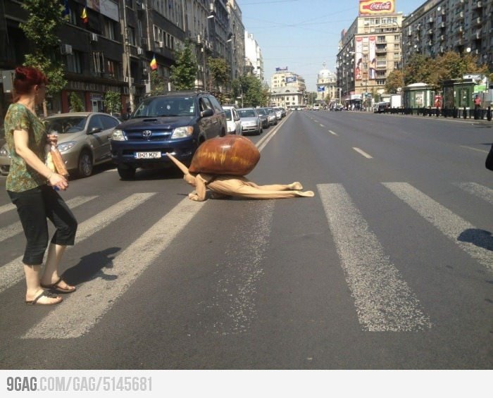 Смешные ситуации на дорогах