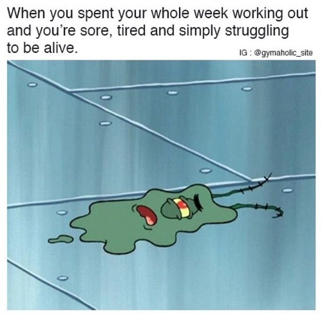 Планктон из губки Боба расплющенный