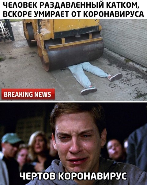 Человек раздавленный катком