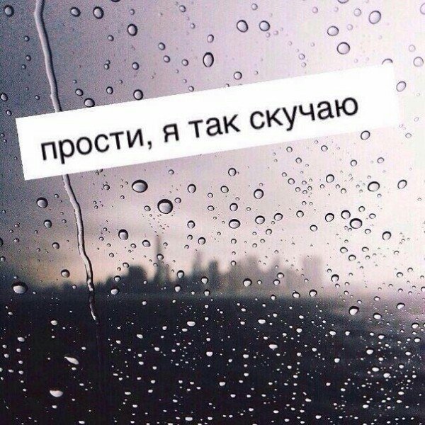 Прости я скучаю
