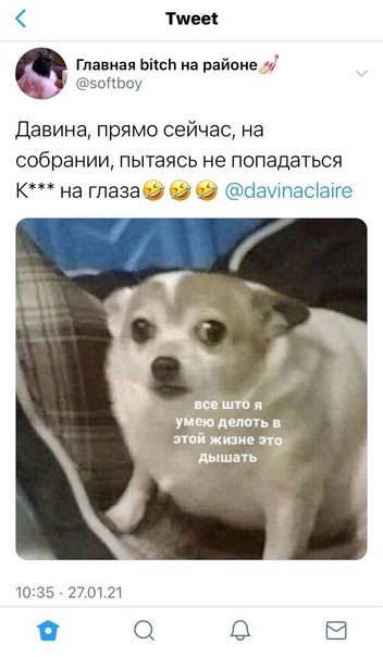 Толстая собака Мем