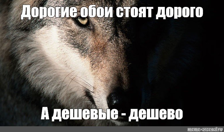 Мемы с волками