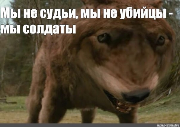 Волчьи мемы ауф