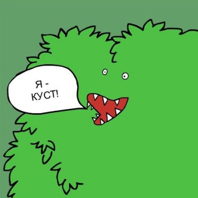 Человек куст