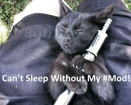 Котенок с сигаретой