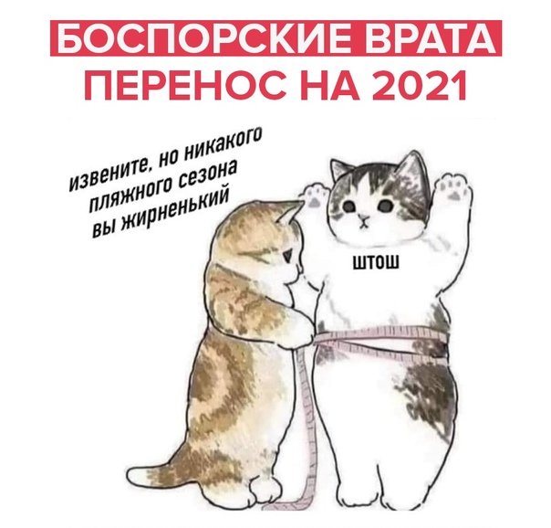 Я жирненький картинка с котиками