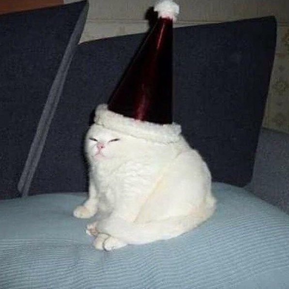 Кот в колпаке Мем