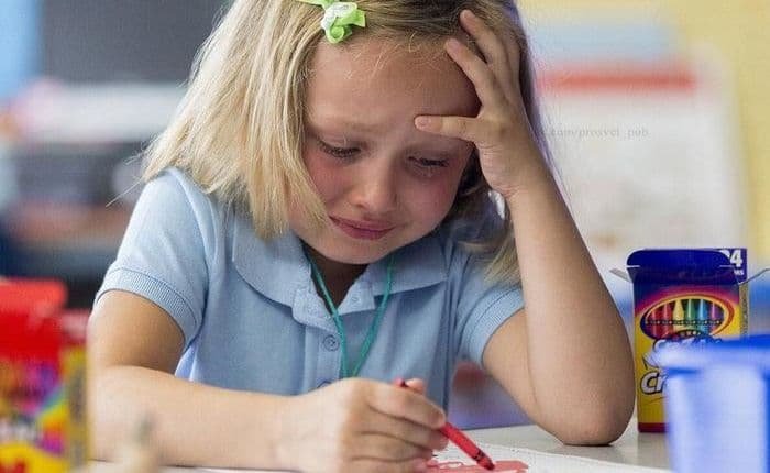 Девушки плачут и кот