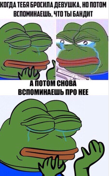 Мемы с жабами