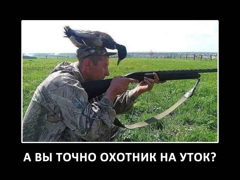 Смешные картинки про охотников