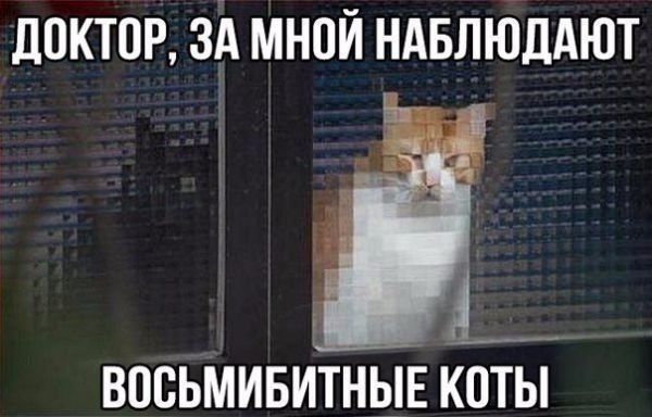 Восьмибитный кот