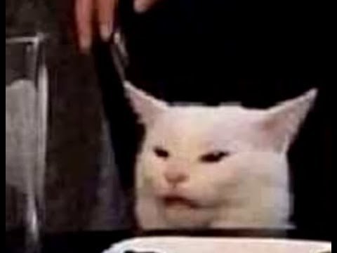 Кот салат ест