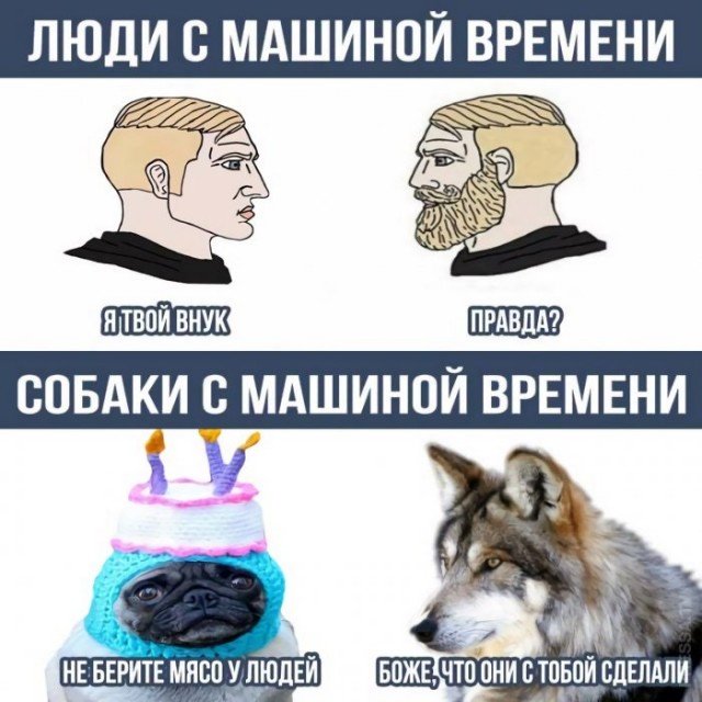 Мем про волка и МОПСА