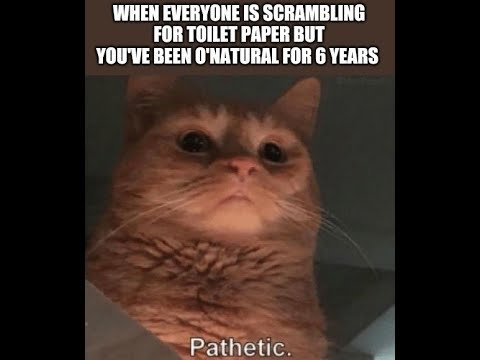 Воняешь слабостью Мем кот