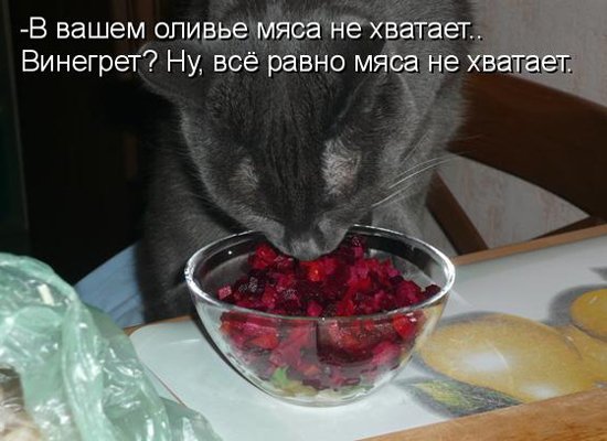 Смешной винегрет