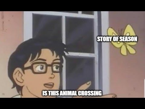 Мемы с бабочками