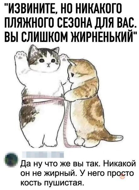 Котики измеряют талию Мем