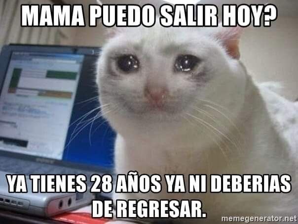 Я почти засмеялся кот