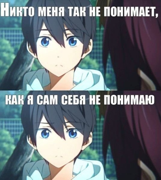 Аниме понял