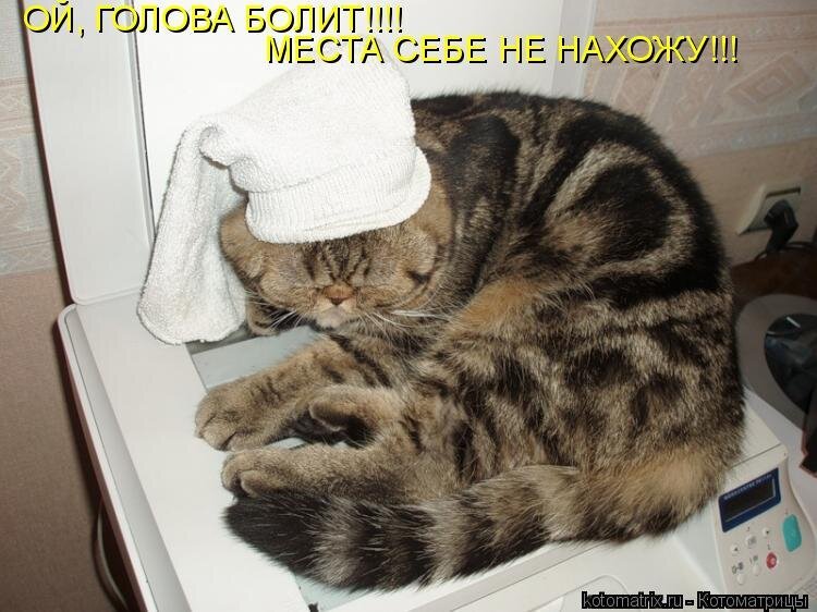 Кошка с больной головой
