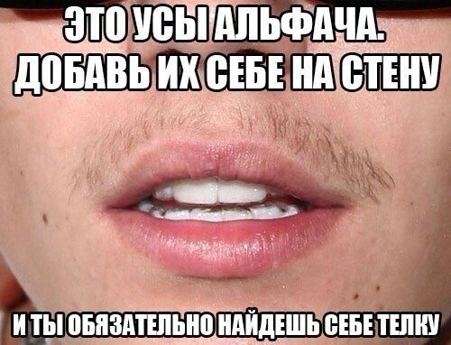 Про усы девушки