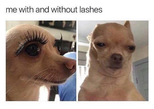 Приколы с нарощенными ресницами