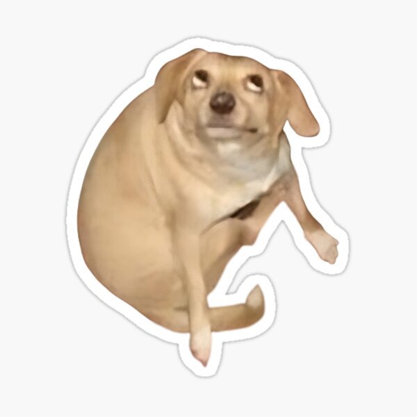 Толстая собака