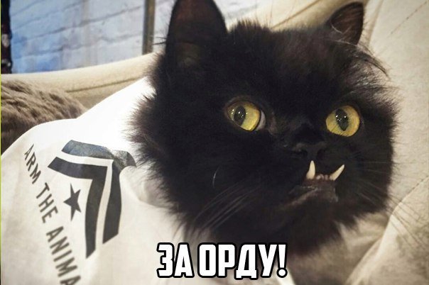 Локтар Огар кот