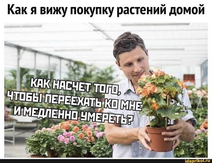 Мемы про растения