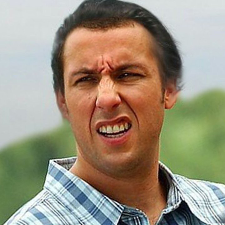 Лицо полное непонимания