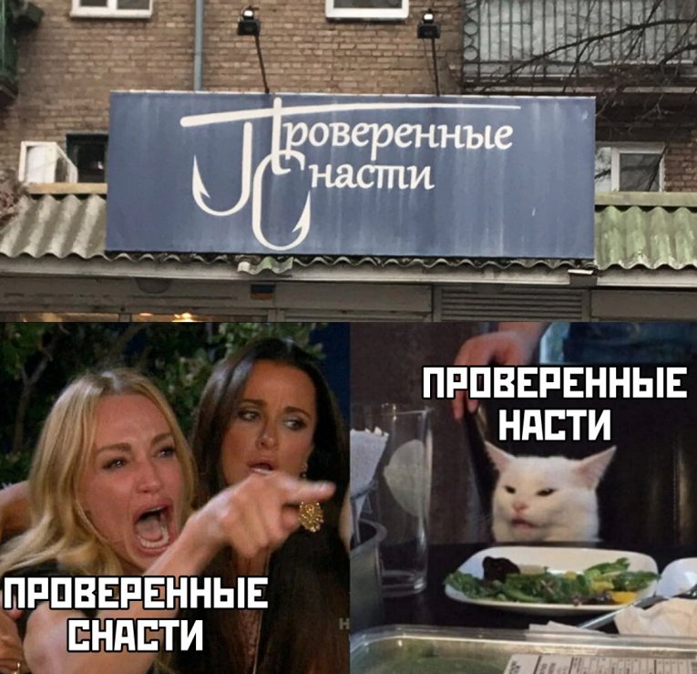 Мем с котом и девушками