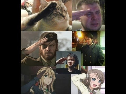 Кот отдает честь